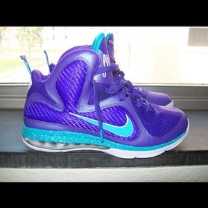 Lebron 9 hornets size 11